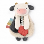 Itzy Lovey Plush and Teether Toy